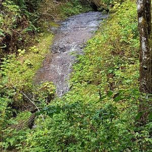 Meet your Posher, Emory